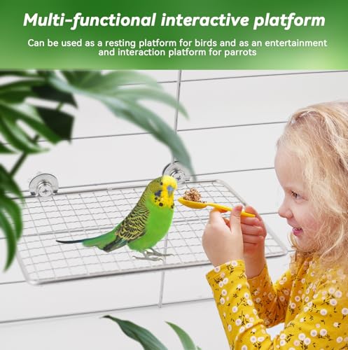 Platform Perch for Parrots,7.87 x 5.90 Inch Bird Flat Perches Stainless Steel Budgie Stand Shelf Rectangle Anti-Chewing Bird Cage Accessories for Small Cockatiel Budgie