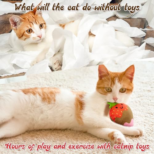 MALLMALL6 Catnip Toys for Cat - 5Pcs Strawberry Chocolate Crinkle Paper Sound Catmint Toy for Indoor Kitten, Teething Chew Kick Interactive Kitty Supplies, Pet Present for Kitten Lover - style: Strawberry Chocolate（with Crinkle Paper）