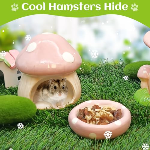 BNOSDM Ceramic Hamster Hideout Cute Mushroom Shape Hamster House and Habitat Cool Hamsters Hide Suitable for Syrian, Mice, Dwarf Hamsters, Gerbils (Pink) - color: Pink Hideout Solo