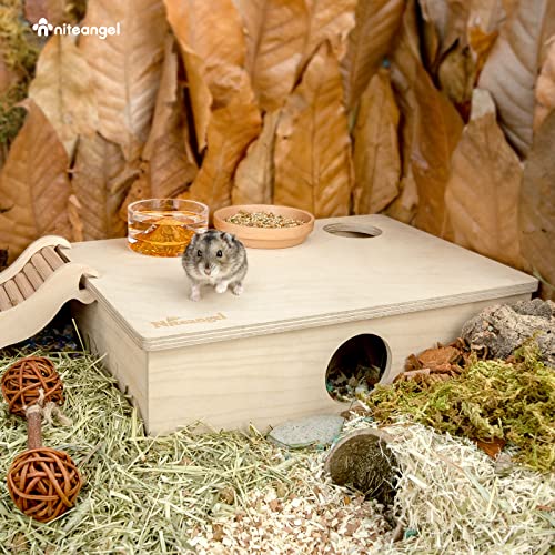 Niteangel Multi-Chamber Hamster House Maze: 2 Entrance 6 Rooms Maze Habitat | No-Disturb Removable Lid - Encourage Pets Hide and Explore Freely Hideout & Tunnel Maze Toys for Hamster Gerbils Mice Lemming - size: 6-Room Small