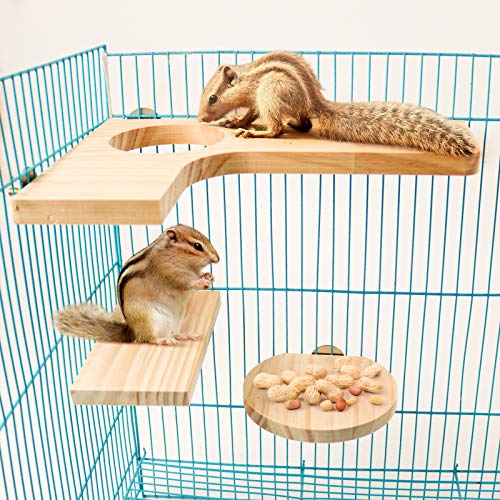 Roundler Squirrel Gerbil Chinchilla and Dwarf Hamster L-shaped Round Hole Wooden Platform, Birds Parrots Activity Playground (style-1)