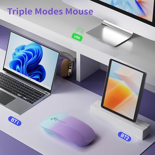 TENMOS M18 Bluetooth Mouse,USB C Rechargeable Wireless Mouse, Green&Purple | Tri-Mode BT5.1/5.0+2.4G, Silent, Portable, Battery Level Visible, USB Receiver,Type C Adapter, for Laptop/Macbook/iPad/PC - color: green and purple