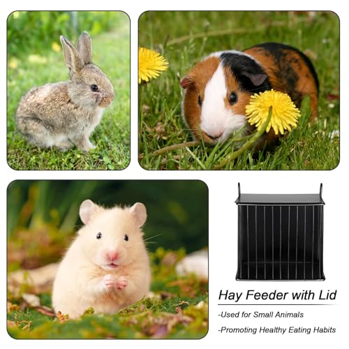 Metal Hay Rack for Rabbits, Rabbit Hay Feeder with Tops-Square Bunny Feeder | Metal Frame Hanging Hay Rack-Hay Holder with Built-in Hooks, Feeding Supply for Guinea Pigs, Chinchillas, Rabbits - size: 6.7x4.7x6.9
