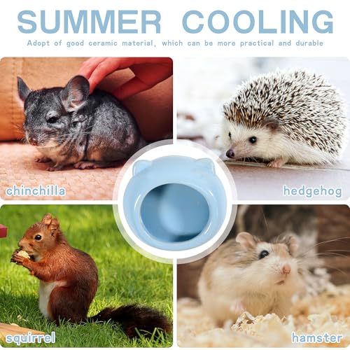 Ceramic Small Pet Hamster Food Bowl – Spill-Proof Guinea Pig & Hedgehog Dish – Durable, Easy to Clean, Non-Tip Design for Small Pets (Blue) - color: Blue