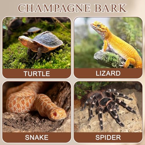 NOLITOY Reptile Bark Climbing Platform 4 Pcs Natural Tree Bark Terrarium Decor for Small Pets Snake Lizard Tortoise Hideout and Habitat Accessories