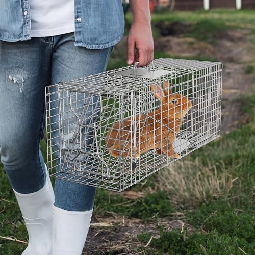 32" X 12" X 12.5" Large Live Animal Trap Cage Humane One-Door Solid Steel Catch and Release Rodent Cage for Raccoon, Rabbits, Stray Cats, Squirrel, Groundhogs, Opossums, Armadillos - style: 32" X 12" X 12.5"