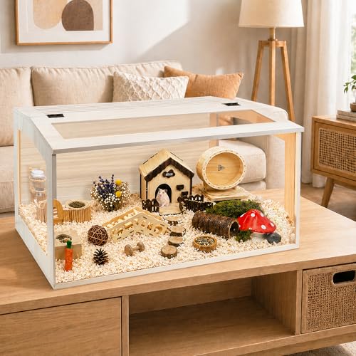 PROLEE Hamster Cage with Chewproof Wood Top, Guinea Pig Cages, Hamster Habitat with Clear Acrylic Sheets Solid Built, Small Animal Cage (Oak, 32X15.5X15.5 inch) - color: Oak, size: 32.0"L x 15.5"W x 15.5"H
