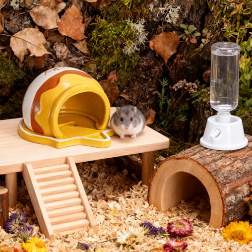 Honey Hamster Hideout, Ceramic Small Pet Hideaway House, Guinea Pig Habitat Decor, Cute Syrian Hut, Chinchilla Cage Accessories for Dwarf Hamsters, Mice, Rats, Toads