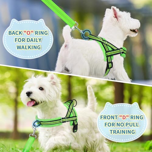Lukovee Soft Padded Small Dog Harness (X-Small, Green) with 4ft Lightweight Leash, Adjustable Reflective Vest for Walking, Running, Hiking, Training | Both Neck & Chest Adjustable, Reflective, Puppy Harness with 4ft Lightweight Anti-Twist Dog Leash for Sm