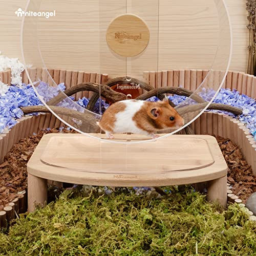 Niteangel Anti-Slide Hamster Wheel Platform: Medium Size & Elevates Height - size: Medium