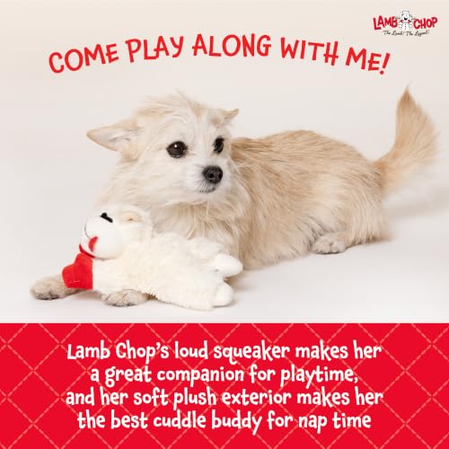 Multipet Lamb Chop Dog Plush Toy - Squeaky Toy for All Dogs - Extra Soft Plush - Stuffed Animal Dog Toy for Cuddling & Playing - Cute Pet Toy (6", Cream) - size: 6", style: White