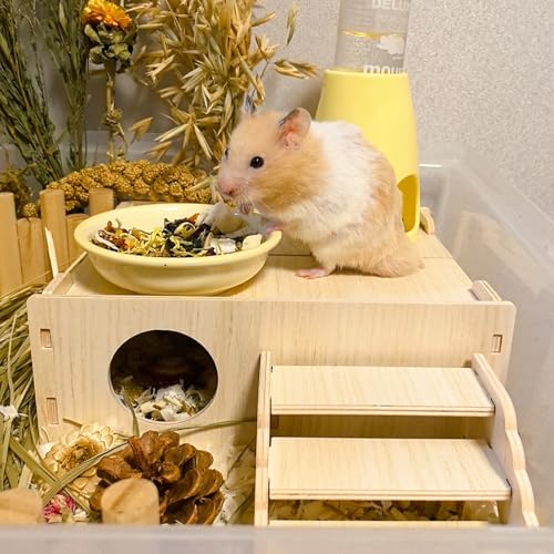 Wooden Hamster Hideout Tunnel Multi-Chamber House Dwarf Hamster Hiding Hut Maze Platform Habitats Exploring Toys for Gerbil Rat Mice
