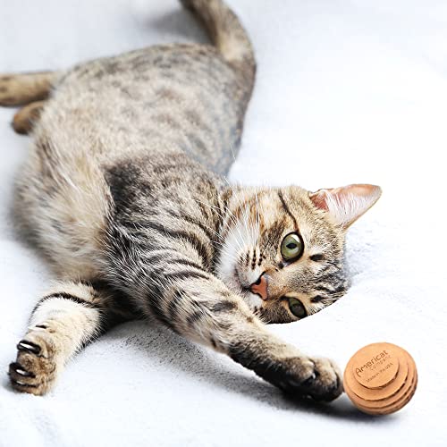Cat Ball Toys by Americat – Made in USA – Safe Cardboard Cat Toys – for Interactive and Independent Play, Exercise & Stress Relief for All Breeds & Ages (Pack of 3 Round Balls) - style: Round Ball Pack