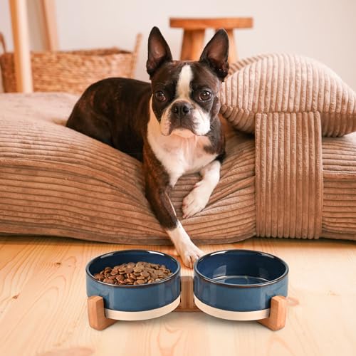SPUNKYJUNKY Ceramic Dog and Cat Bowl Set with Wooden Stand, Modern Cute Weighted Food Water Bowl Set for Small Size Dogs (1.7 Cups, 2 × Pattern Blue) - color: Pattern Blue × 2, size: 1.7 cups
