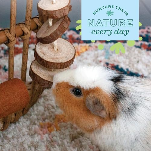 Oxbow Natural Dangly Party Pack, Rabbit & Guinea Pig Toys, Enrichment | Rabbit Chew Toys, Guinea Pig Enrichment, Guinea Pig Chew Toys, Rabbit Enrichment, Natural Materials, Small Pet Accessories - style: Dangly Pack