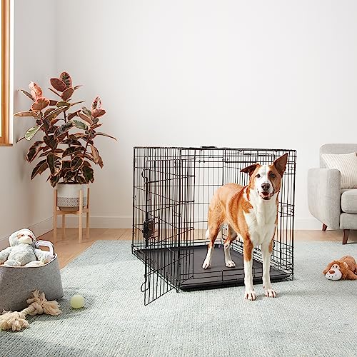Amazon Basics Portable, Collapsible Metal Wire Dog Crate with Removable Tray, Double Door, Easy to Assemble, Divider Panel for Large Dogs, 42" x 28" x 30", Black - size: 42.0"L x 28.0"W x 30.0"H, style: Double Door w/ Divider