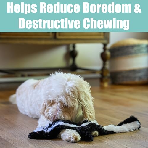 SPOT Skinneeez Skunk 23-Inch Stuffing-Free Plush Dog Toy – Realistic Design with 2 Squeakers – Durable, Soft Polyester for Medium & Large Dogs – Tug, Fetch & Shake Play – for Moderate Chewers - style: Skunk