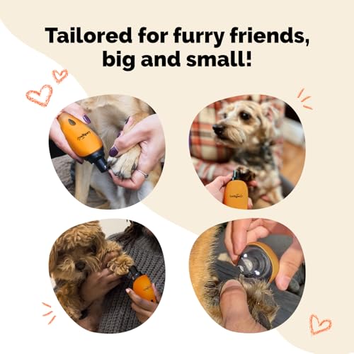 Pet Nail Grinder for Dogs and Cats - Super Quiet and Low Vibration Electric Dog Nail Grinder with 2 LED Lights - USB Rechargeable and Cordless - 2 Speeds - Small to Large Pets - Orange - color: Orange