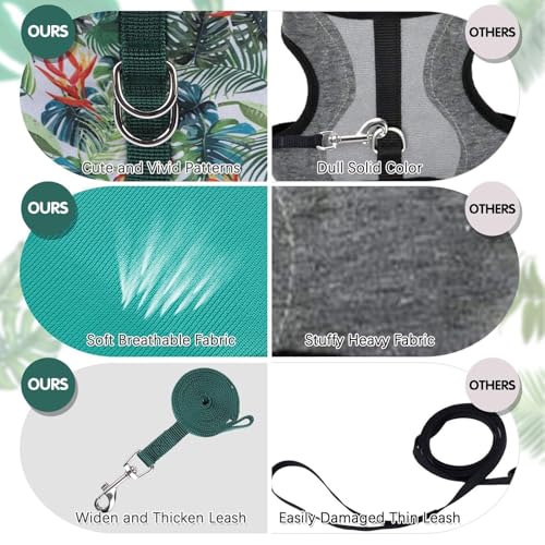 BINGPET Cat Harness and Leash Set, Escape Proof and Adjustable, Medium | Step-in Vest, Lightweight Soft Breathable Mesh, Hook & Loop, Easy Control for Small & Medium Cats Walking Travel - color: Green leaves, size: Medium
