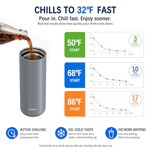 14oz Fast Chill Cup Thermos Bottle, Chills Room-Temperature Drinks to 32°F in 10 Minutes, Stays Below 41°F for 6 Hours, No Ice Needed, Insulated Bottle, No Watered-Down Taste(Gray) - color: Gray