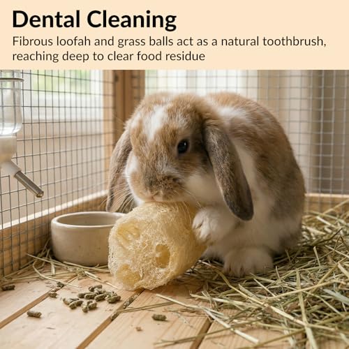 11 Pcs Rabbit Chew Toys, Interactive Bunny Foraging Toy, Natural Materials, Loofah Sponges, Seagrass Balls, Dental Cleaning, Relieve Stress