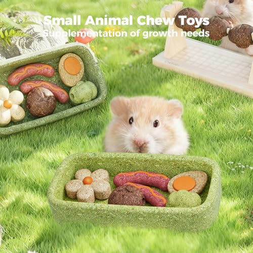 mini&moe Hamster Chew Toys for Teeth - Guinea Pig Chews and Treats Natural Hamster Enrichment Toys Improve Dental Health for Rat, Bunny, Chinchilla, Gerbils and Small Animal