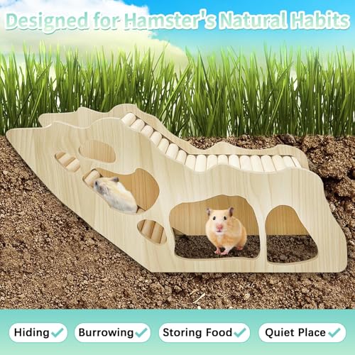PINVNBY Hamster Climbing Ladder and Tunnel Hideout Wooden Hamster Climbing Toy Cage Decor Accessories for Gerbil Mice or Other Small Animals (Maze Tunnel)