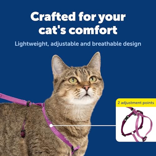PetSafe Come with Me Kitty Harness and Bungee Cat Leash, Dusty Rose, Medium | Adjustable 2-Point Fit Applies Gentle Pressure to Shoulders, Not Neck, for Small & Average Cats with 10.5 in - 14 in Girth - color: Dusty Rose, size: Medium (Pack of 1)