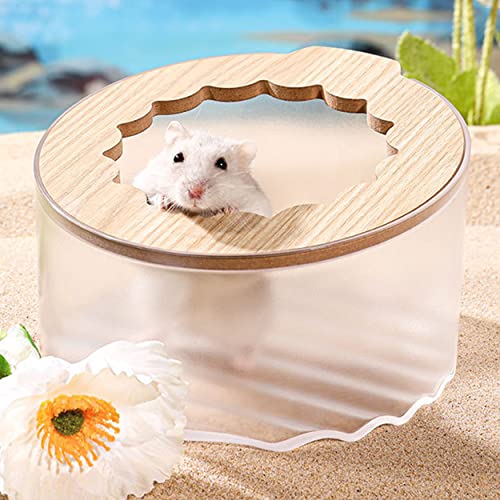 Hamster Sand Bath Box, Small Animal Bathroom & Digging Room, Easy to Clean, for Dwarf & Syrian Hamster, Gerbil - color: Transparent