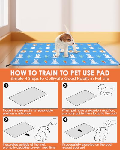 Bissap 2 Packs Guinea Pig Cage Liners, 24''X36'' Washable Guinea Pig Pee Pads Non Slip Reusable Fast and Super Absorbent Bedding for Small Animals Rabbit Hamster Chinchillas Rat - Blue - color: Blue, size: 24''x36''