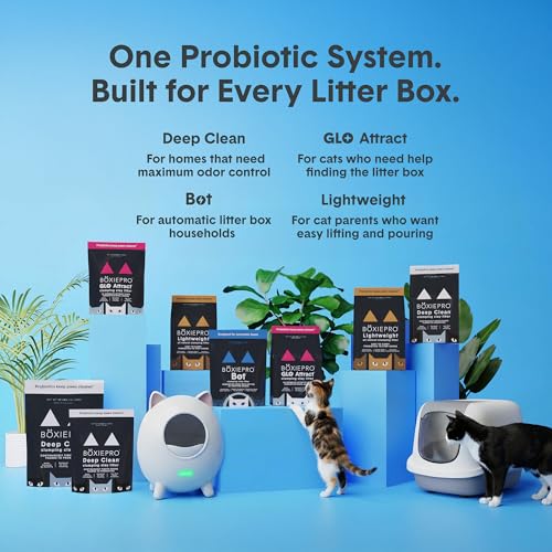 Boxie Probiotic Clumping Cat Litter 40+ Day Odor Control Dust Free 40 lb - size: 40 lb