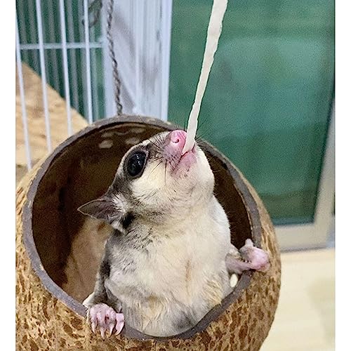 Exotic Nutrition Omega YUMS Fish Stick Treat for Sugar Gliders | All Natural & Made with Real Fish (2 oz) - size: 2 Ounce (Pack of 1)