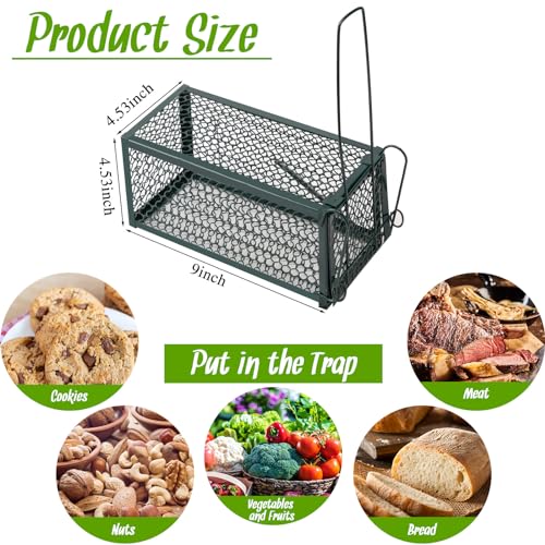 Qualirey 2 Pcs Humane Rat Trap Chipmunk Rodent Mouse Squirrel Trap,Green | 9.1 x 4.5 x 4.5 Inches Mouse Voles Hamsters Cage Rat Cage for Mice Easy to Catch and Release - color: Green