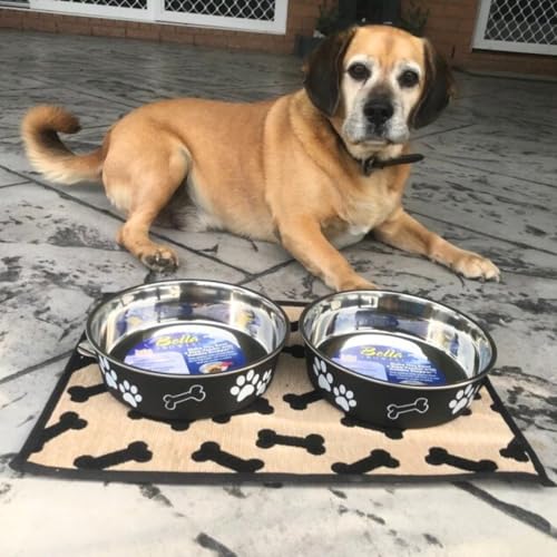 Loving Pets Bella Dog Bowls- Stainless Steel Dog & Cat Bowls - Spill Proof Dog Food Bowl, Cat Bowl, Puppy Essentials & Pet Supplies Great for Home & Travel (Large 35-65 lbs, Espresso) - color: Espresso, size: Large (35-65lbs)