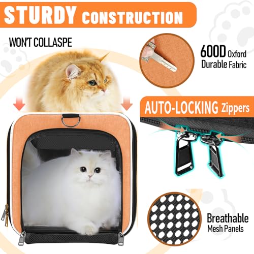 GAPZER Large Cat Carrier Soft, Collapsible Travel Pet Carry Bag, Small Dogs | Large Kitty Cat 20 lbs Maine Coon, Top Load Transport Small Puppy Dog Kennel, Yorkie Little Dog 10lbs, Sturdy Fabric Orange - color: Orange