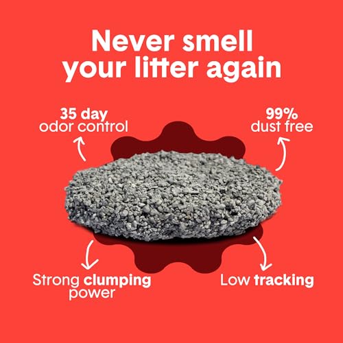 Boxie Extra Strength Clumping Cat Litter Multi Cat 35 Day Odor Control 28lb - size: 28 lb