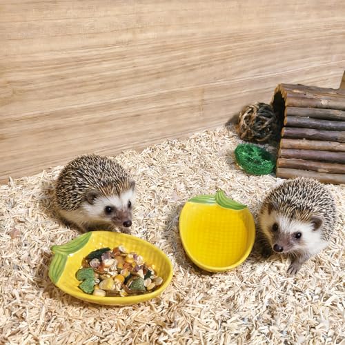 2PCS Hamster Bowl, Hamster Food Dish Ceramic Food Water Feeding Bowl Small Animal Bowls for Gerbil Rat Mice Hedgehog (Corn)