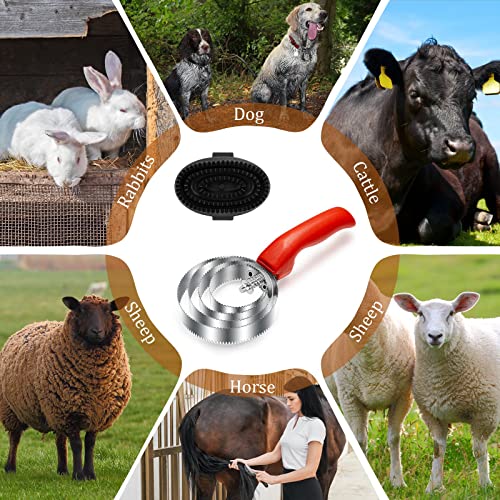 Reversible Stainless Steel Curry Comb with Large Rubber Brush for Grooming Horses, Dogs, Goats, Cattle, Cow, Donkey Supplies - color: Red