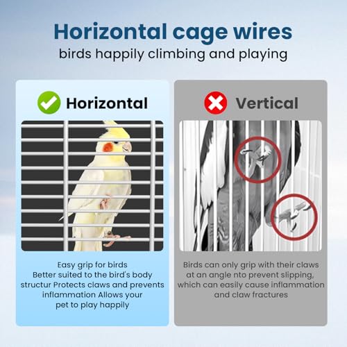 Travel Bird Carrier Cage,Transparent Parakeet Cage,Small Portable Bird Cage with Feeder Cups & Standing for Canaries Budgies Lovebirds Conures Cockatiels(Blue)