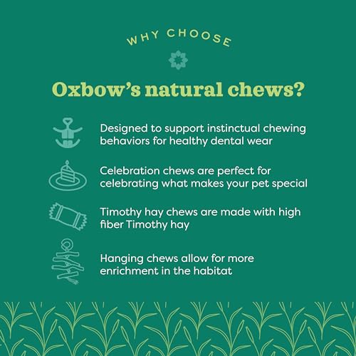 Oxbow Roll Arounds, Rabbit & Guinea Pig Toys, Bunny Enrichment Toys | Oxbow Enriched Life, Rabbit Chew Toys, Guinea Pig Enrichment, Guinea Pig Chew Toys, Rabbit Enrichment, Natural Materials