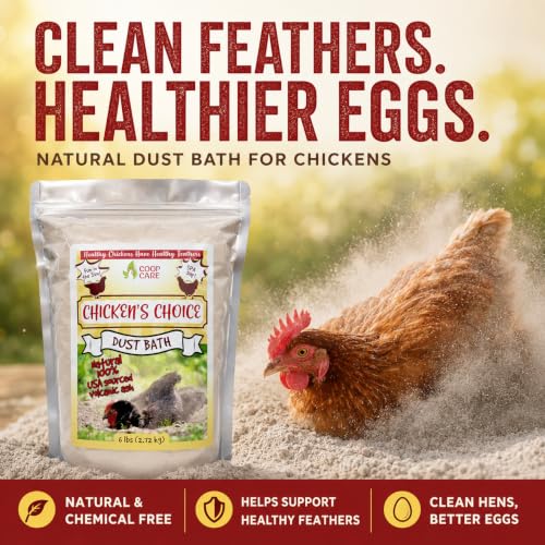 Chicken's Choice Chicken Dust Bath, 6 lb Natural Volcanic Ash Dust Bath for Chickens. Dust Mix for Healthy Chickens, Chinchillas, Small Animals. Made in The USA. Coop Accessories (1, Volcanic Ash)