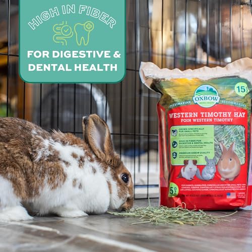 Oxbow Western Timothy Hay, Rabbit & Guinea Pig Hay, High Fiber, USA, 40 oz | Oxbow Timothy Hay, Bunny Hay For Rabbits, Guinea Pigs, Bunnies and Chinchillas, Hand-Sorted, De-Dusted, Made in USA - size: 40 Ounce (Pack of 1)