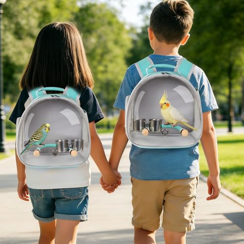 Small Bird Travel Backpack Carrier Cage, Backpack to Transport Backpack Carrier with Clamp Cups Stand Perch for Parakeet Cockatiel Budgies Vet Carry Book Bag Green - color: Green