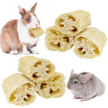 BNOSDM Bunny Chew Toys Natural Loofah 6PCS Bunny Teeth Grinding Toy Rabbit Fiber-Rich Treats Pet Entertainment Accessories for Rabbits Chinchillas Guinea Pig（XL） - color: XL-6PCS