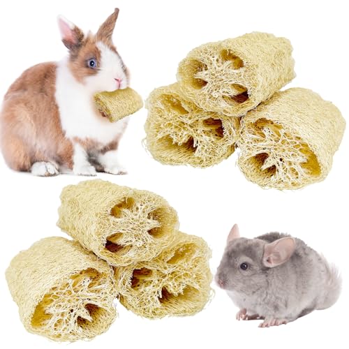 BNOSDM Bunny Chew Toys Natural Loofah 6PCS Bunny Teeth Grinding Toy Rabbit Fiber-Rich Treats Pet Entertainment Accessories for Rabbits Chinchillas Guinea Pig（XL） - color: XL-6PCS