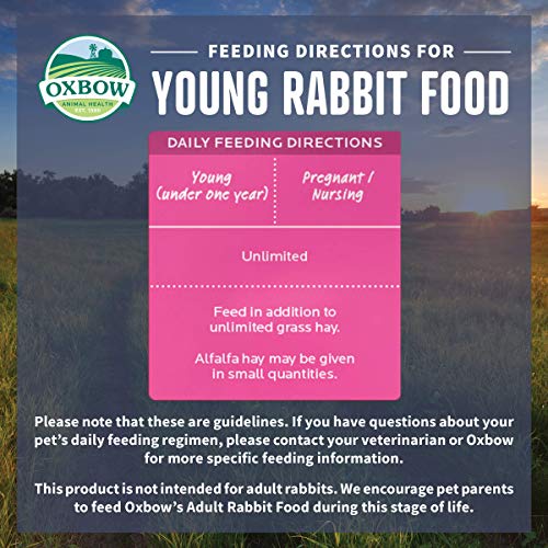 Oxbow Essentials Young Rabbit Food, High-Fiber Rabbit Pellets, USA, 25 lb | Bunny Food for Young Rabbits, Made with High Fiber Oxbow Hay, Vitamins & Minerals, Uniform, Prevents Selective Feeding - size: 25 Pound (Pack of 1)