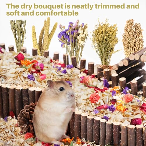 Sukh Natural Hamster Bedding Sprays - Foraging Cage Accessories | Habitat Decor & Enrichment for Dwarf and Syrian Hamsters, Gerbils, Mice and Small Animals Cage Hideout Accessories