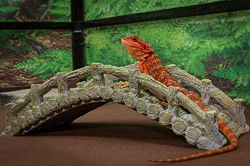 Reptile Bridge, Driftwood Gray, Reptile Habitat Accessory