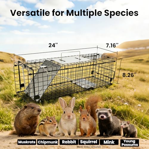 APXL Squirrel Trap Heavy Duty Folding 24" Live Trap – Rabbit Trap with Oversized Wide Trigger Pan - Live Animal Trap/Squirrel Traps Outdoor/Squirrel Cage/Humane Catch and Release Cage Trap