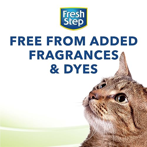 Fresh Step Cat Litter, Unscented, Odor Control | Clumping Formula | Activated Charcoal | 14 lb | Pack of 2 - size: 14lb (Pack of 2)